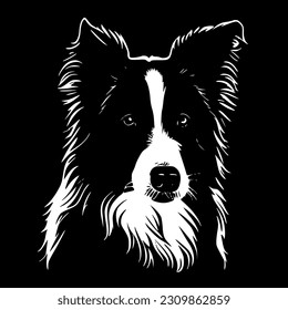 Border Collie - High Quality Vector Logo - Vector illustration ideal for T-shirt graphic