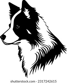 Border Collie - High Quality Vector Logo - Vector illustration ideal for T-shirt graphic