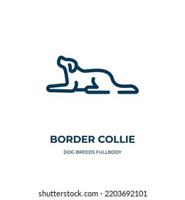 Border collie icon. Linear vector illustration from dog breeds fullbody collection. Outline border collie icon vector. Thin line symbol for use on web and mobile apps, logo, print media.