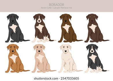 Border Collie Labrador Retriever mix. Borador Clipart... Diferentes cores de casaco definido.  Ilustração vetorial