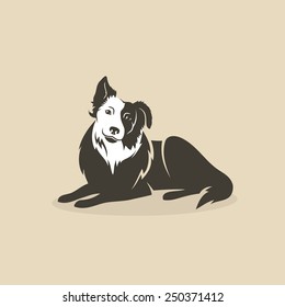 Border Collie Lying Down - Vector Illustration