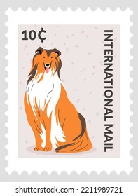 Border collie on postmark or postcard, isolated canine animal. International mail and correspondence, communication via postal. Post mark or card, stamp for letter with price. Vector in flat style