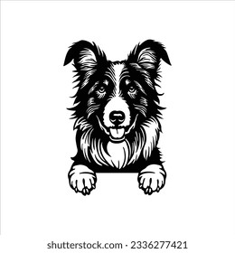 Border Collie Peeking Dog Vector, Peeking Dog Cut File, Cricut Laser