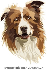 Retrato de línea de borde, ilustración vectorial. Cabeza, boquilla, perro marrón