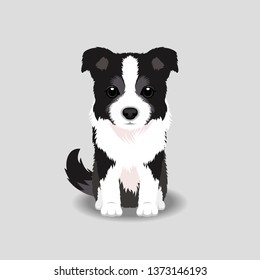 Border Collie Cartoon Hd Stock Images Shutterstock