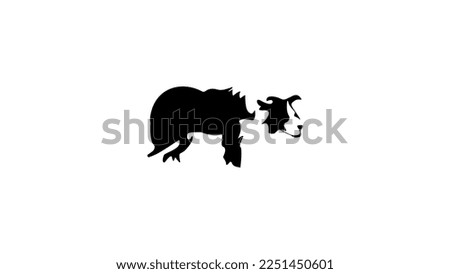 border collie silhouette, dogs with intelligence