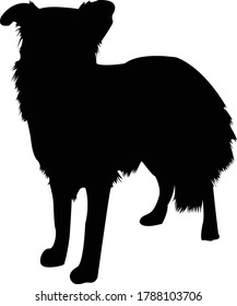 Border Collie Silhouette Vector Illustration