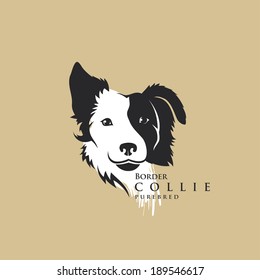 Border Collie - vector illustration