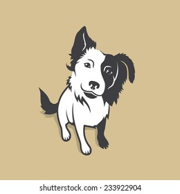 Border Collie - vector illustration