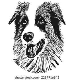 Borde Collies dibujos de la línea vectorial dibujados a mano dibujo de la ilustración de mascotas con el logotipo en blanco y negro
