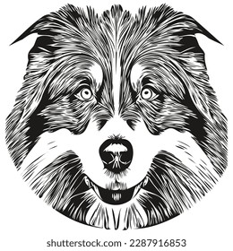 Border Collies dog hand drawn vector line art drawing black and white logo pets illustration
