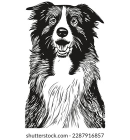 Border Collies dog hand drawn vector line art drawing black and white logo pets illustration
