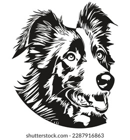 Border Collies dog hand drawn vector line art drawing black and white logo pets illustration
