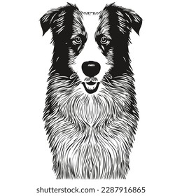 Border Collies dog hand drawn vector line art drawing black and white logo pets illustration
