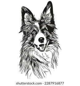 Borde Collies logotipo dibujado a mano dibujando ilustraciones de arte de mascotas de línea blanca y negra
