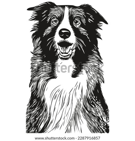 Border Collies dog hand drawn vector line art drawing black and white logo pets illustration
