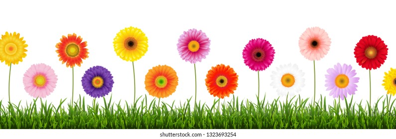 Border Color Gerber, Gradient Mesh, Vector Illustration