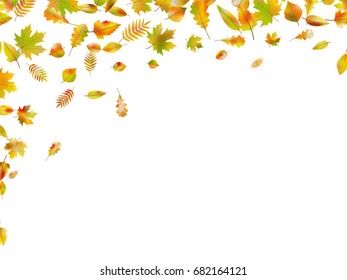 Border of colorful autumn leaves isolated on white. And also includes EPS 10 vector
