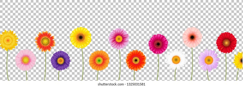 Border Colorful Gerber Transparent Background,  Gradient Vector Illustration
