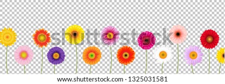 Border Colorful Gerber Transparent Background,  Gradient Vector Illustration
