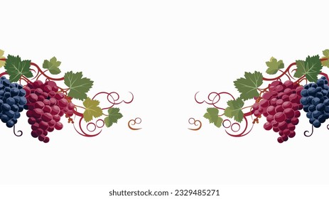 a border corner, with nothing in center with no text with grapes vector in the all side corner border 07