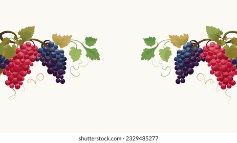 a border corner, with nothing in center with no text with grapes vector in the all side corner border 08