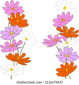 Border of cosmos flower branch vector simple illustration isolated on white background. Outline hand drawn colored version. Floral vector for childrens illustration, summer design.