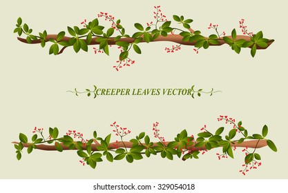Border Of Creeper Flower Vine Plant Illustration