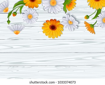 Border with Daisy flowers and calendula on background of wooden white boards.Concept background for cosmetics, Spa with chamomile extract, natural ingredients.Vector illustration
