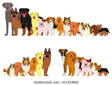 Border of dogs arranged in order of height