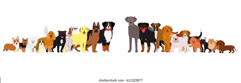 Border of dogs arranged in order of height