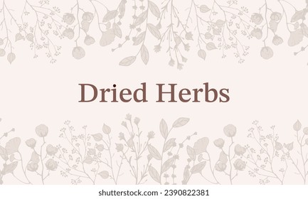 Border Dry Herbs, Dried Flowers. Natural medicine. Vector banner with branches twigs cotton flowers. Design frame for decoration of medical articles and websites, print, postcards, covers, posters.