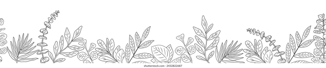 Borde con dibujo vectorial de líneas de eucalipto.