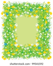 Border of field flowers and grass
