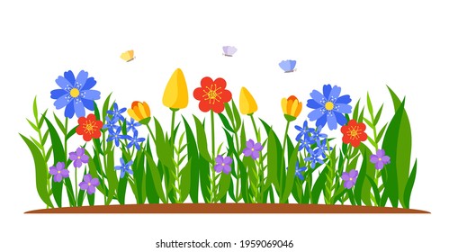 Border of flowers growing in grass. Spring tulips, daffodils or daisies in flat cartoon style. Flower bed. Colored landscape nature springtime decorative element. Isolated on white vector illustration