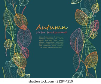 border frame of colorful autumn leaves on dark background