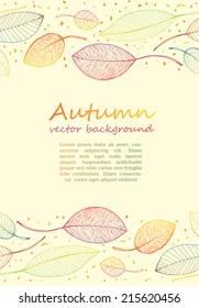 border frame of colorful autumn leaves on light background