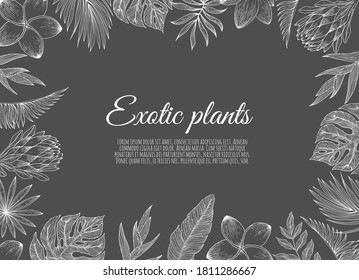 A border frame design decorated with floral tropical palm leaves and flowers