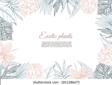 A border frame design decorated with floral tropical palm leaves and flowers