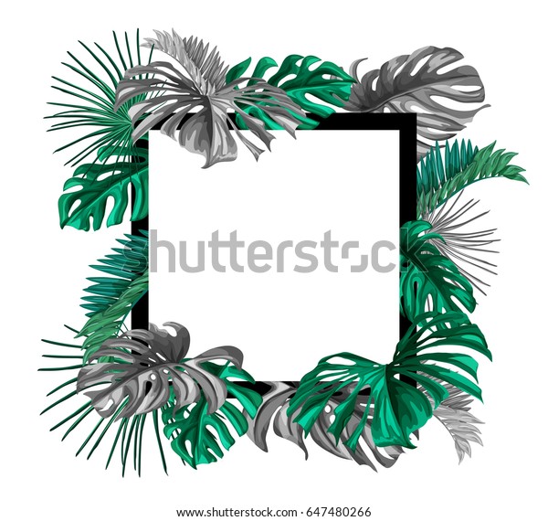 花柄の熱帯のヤシの葉にメッセージ用のスペースを加えた枠のデザイン 夏のテンプレート エキゾチックな葉を持つベクタービンテージ構図 ボタニカルクラシック イラスト のベクター画像素材 ロイヤリティフリー