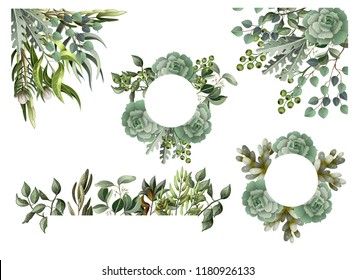 Border and frame with leaves and succulent  in watercolor style. Eucalyptus, magnolia, fern and other  vector illustration.