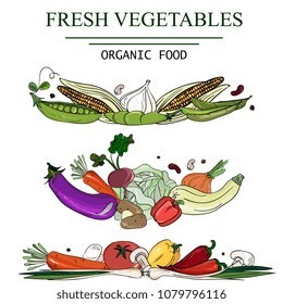 border of fresh farm vegetables. Hand drawing, vector illustration for cards, menu, banners. Carrots,cabbage,onion,garlic,pepper,tomato,cucumber,zucchini, eggplant and  Corn, mushrooms 