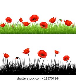 Border With Grass And Poppy, Vector Illustration
