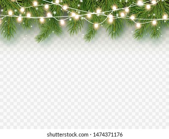Border with green fir branches and lights isolated on transparent background. Pine, xmas evergreen plants banner. Vector Christmas tree and garland decoration border.
