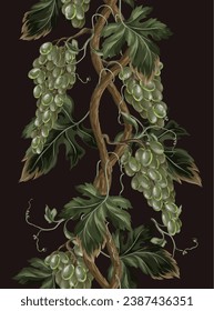 Borde con ramas de uvas verdes. Vector.
