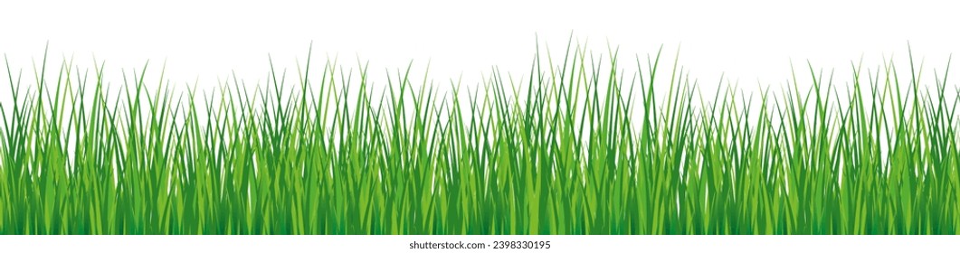 Grenze der grünen Grasschablone. Naturwiese mit Liniensicht für realistisches und kartoonisches Design mit bunter Vegetation, Vektorgarten