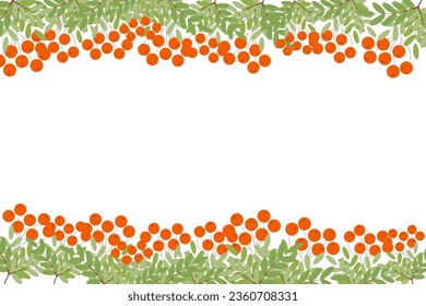 border with green leaves and berries of ripe rowan. Empty frame. vector illustration