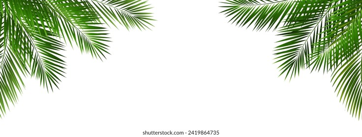 Border With Green Palm Tree Leaves With Gradient Mesh, Vector Illustration