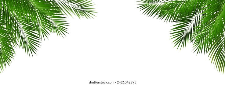 Border With Green Palm Tree Leaves With Gradient Mesh, Vector Illustration