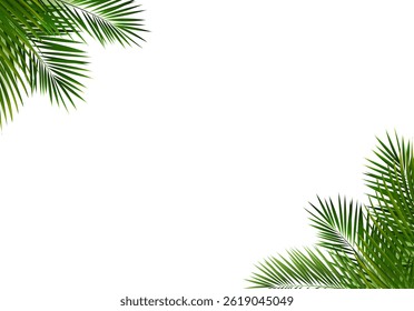 Border With Green Palm Tree Leaves With Gradient Mesh, Vector Illustration